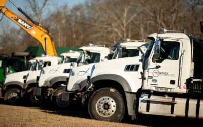 Importance of Tree Debris Removal