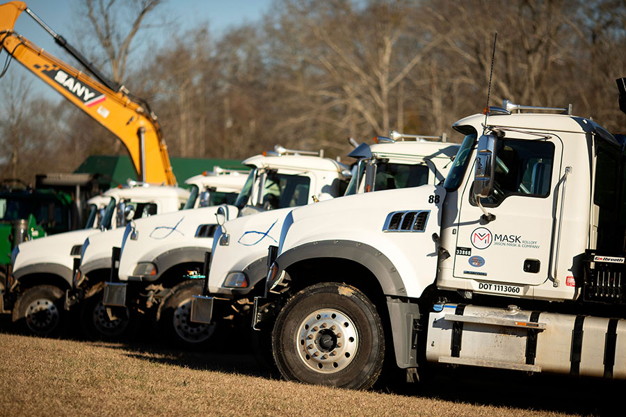 Importance of Tree Debris Removal